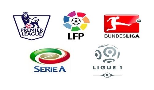 这种坚韧不 这种坚韧不